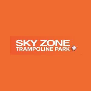 skyzonellc skyzonellc